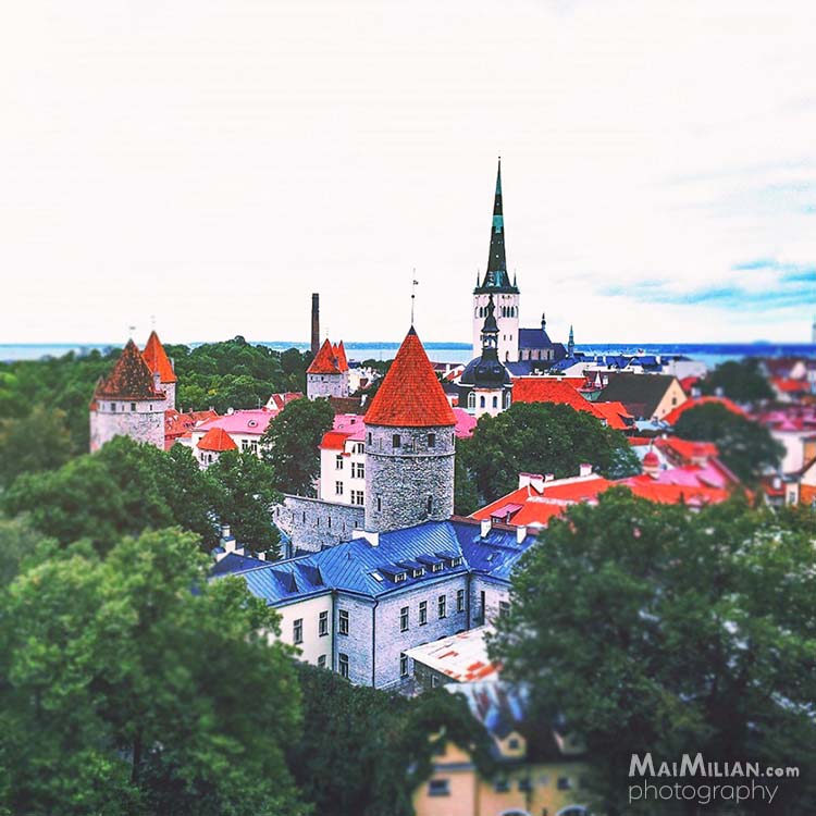 Tallinn Old Town City View